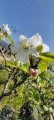 Enlarge photo 469