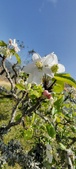 Enlarge photo 470