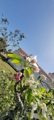 Enlarge photo 471