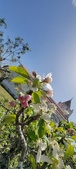 Enlarge photo 472