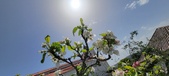 Enlarge photo 474