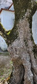 Enlarge photo 478