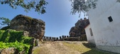 Enlarge photo 479