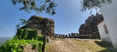 Enlarge photo 480