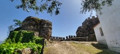 Enlarge photo 481