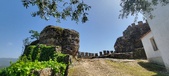 Enlarge photo 482