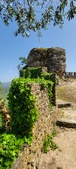 Enlarge photo 483