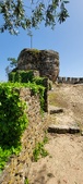 Enlarge photo 484