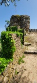Enlarge photo 485