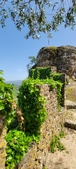 Enlarge photo 486