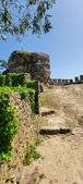 Enlarge photo 487