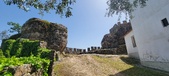 Enlarge photo 489