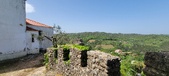 Enlarge photo 490