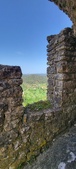 Enlarge photo 493