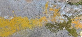 Enlarge photo 494