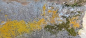Enlarge photo 495