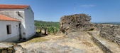 Enlarge photo 501