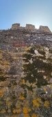 Enlarge photo 515
