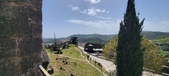 Enlarge photo 517