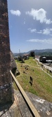 Enlarge photo 519