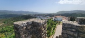 Enlarge photo 529