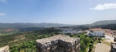 Enlarge photo 533