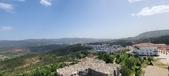 Enlarge photo 534