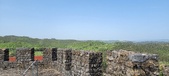 Enlarge photo 543