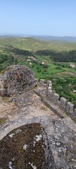 Enlarge photo 549