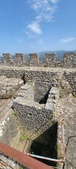 Enlarge photo 559
