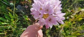 Enlarge photo 18