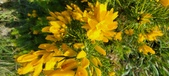 Enlarge photo 27