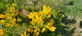Enlarge photo 29