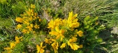 Enlarge photo 30