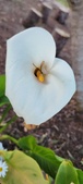 Enlarge photo 37