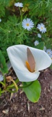Enlarge photo 38