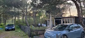 Enlarge photo 78