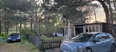 Enlarge photo 79