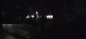 Enlarge photo 99