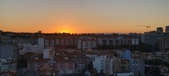 Enlarge photo 141