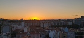 Enlarge photo 142