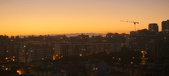 Enlarge photo 160
