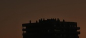 Enlarge photo 173