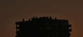 Enlarge photo 174