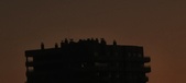 Enlarge photo 175