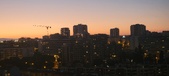Enlarge photo 192
