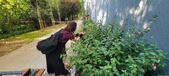 Enlarge photo 103