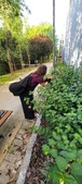 Enlarge photo 99