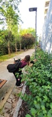 Enlarge photo 98