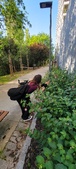 Enlarge photo 97